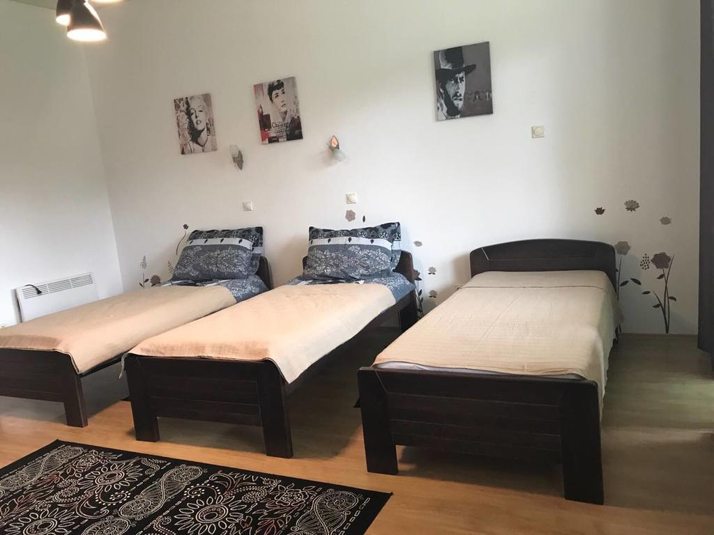 Felix Apartment Zlatibor Esterno foto
